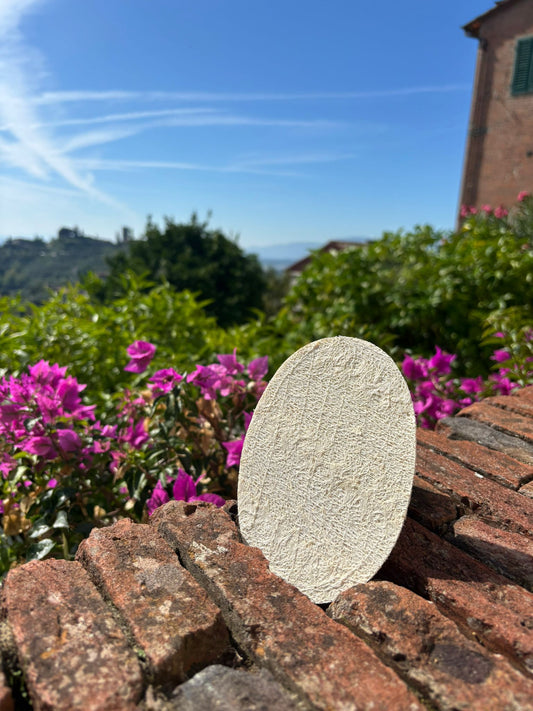 Salva sapone in luffa grande