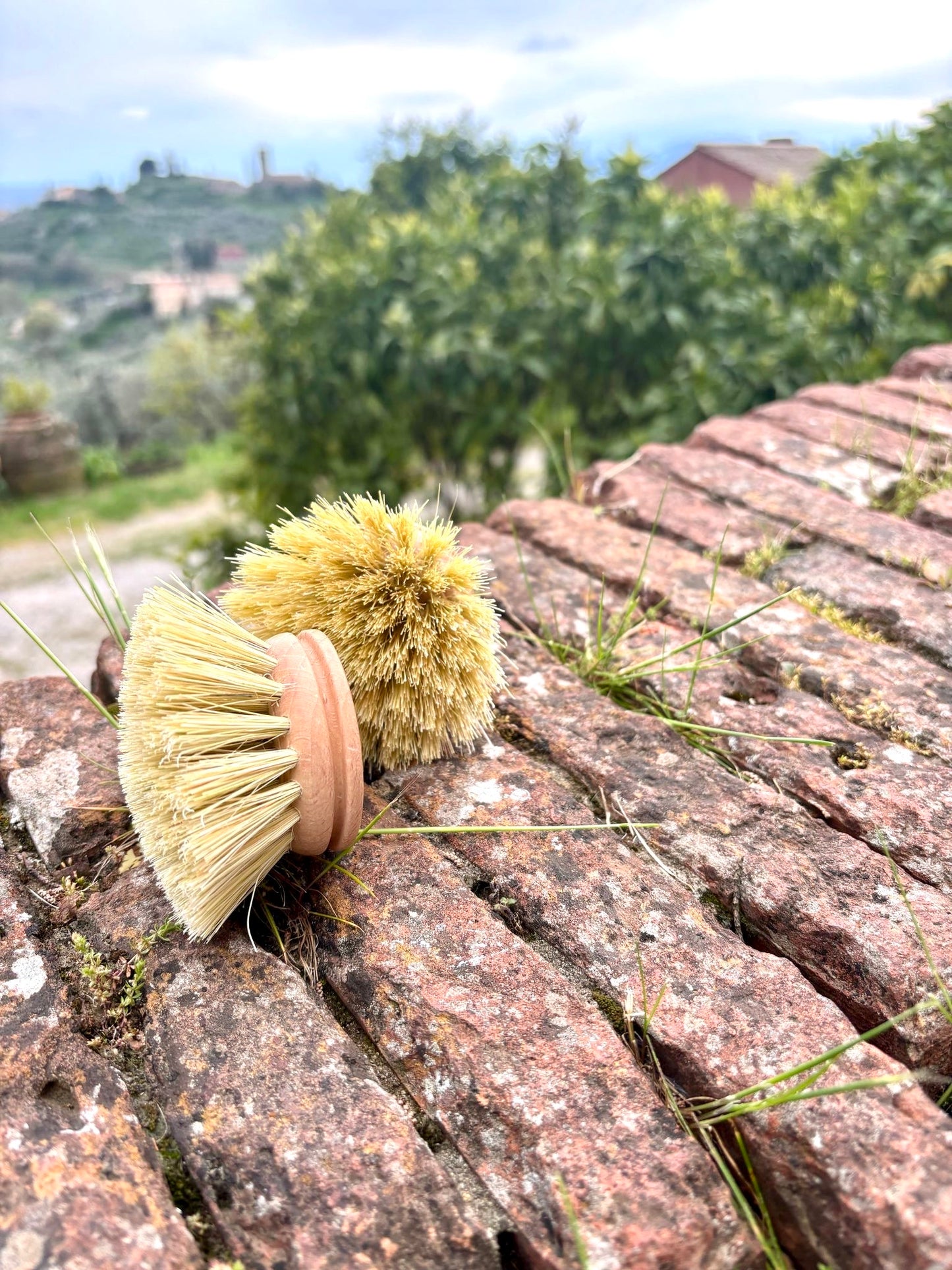 Spazzola per Piatti