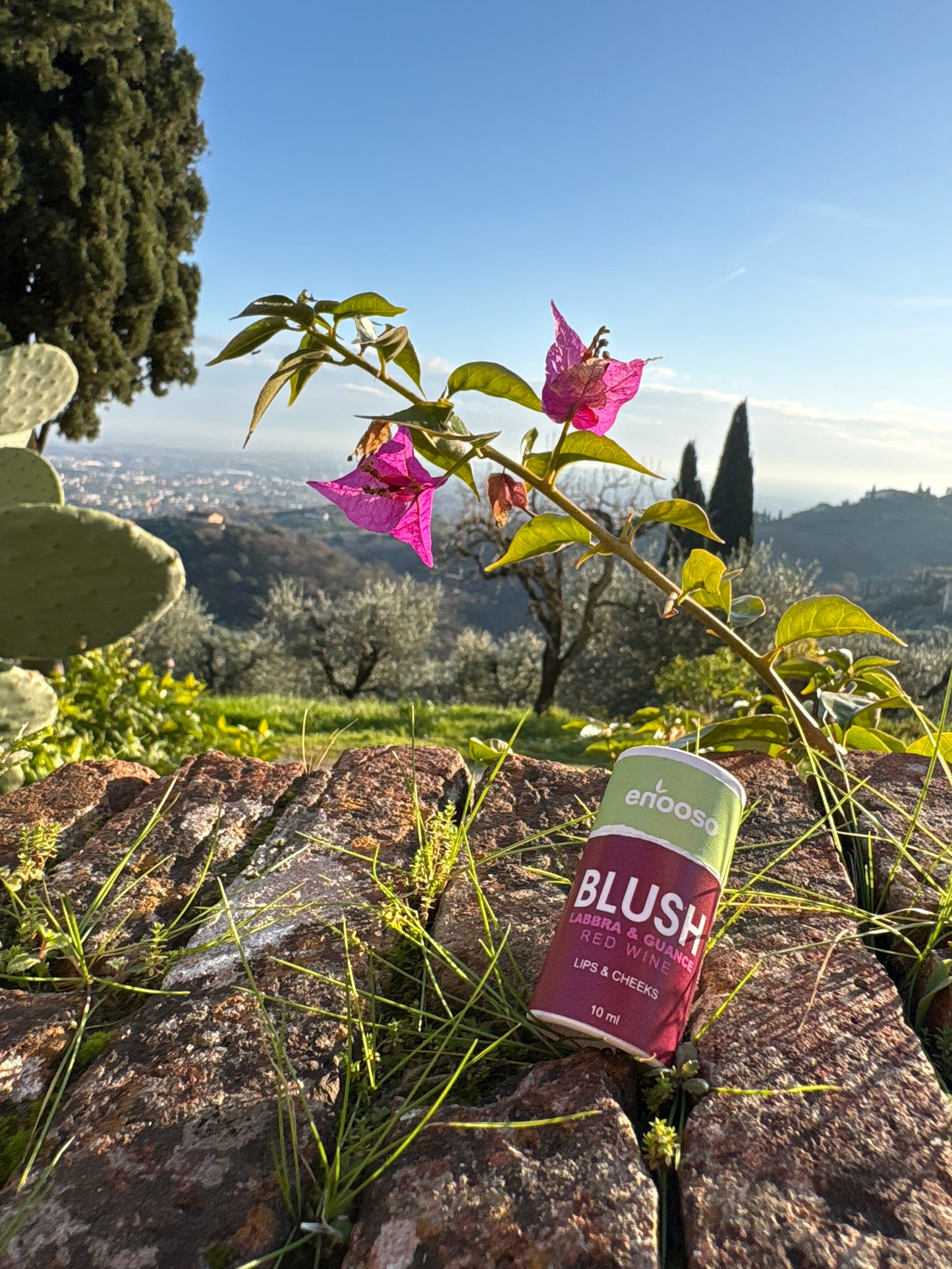 Blush Labbra e Guance - Red Wine