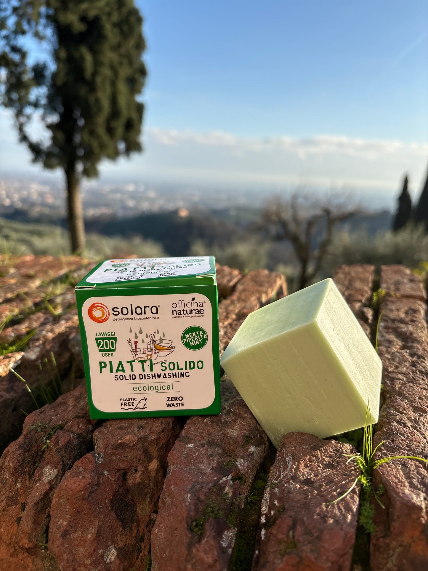 Piatti Solido Menta Piperita
