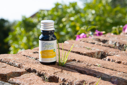 Olio Essenziale Ylang Ylang III