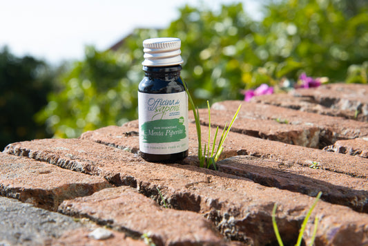 Olio Essenziale Menta Piperita