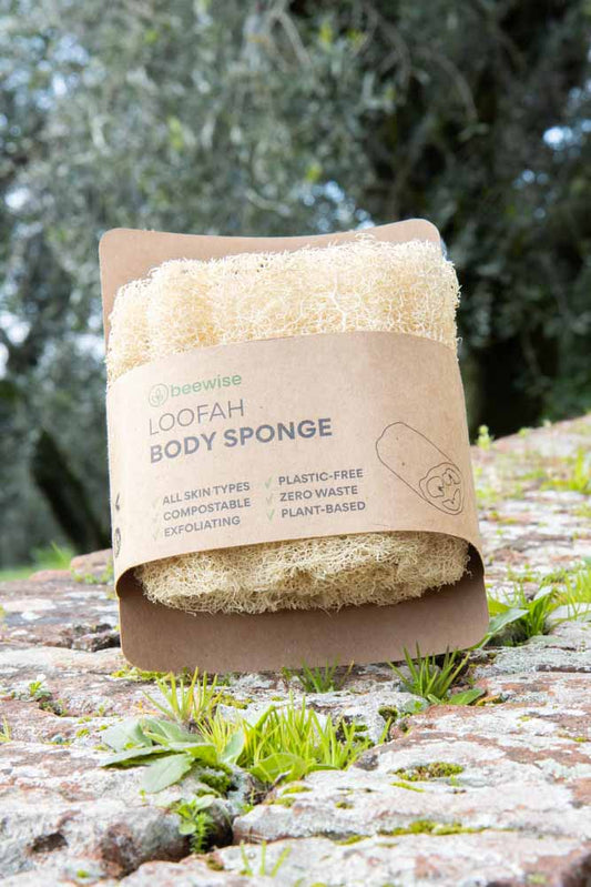 Spugna per il corpo in luffa (grande)